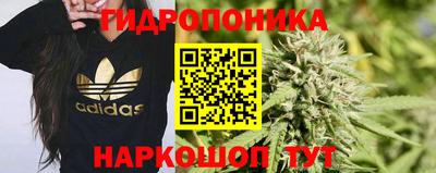 ПСИЛОЦИБИНОВЫЕ ГРИБЫ Дубна